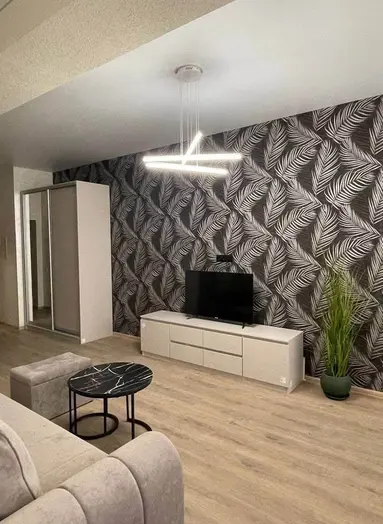 Здам Студію в Ужгород в оренду